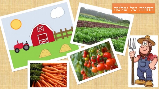 האם זרעים נושמים?