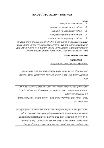 העץ האדם והסביבה בשנת שמיטה