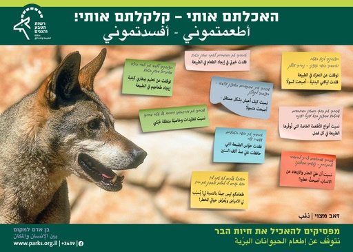 כרזות- מפסיקים להאכיל את חיות הבר