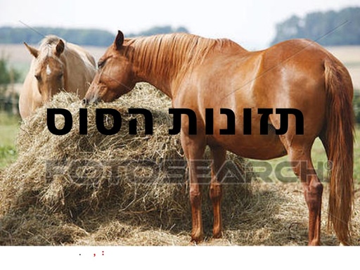 מזון גס ומרוכז סוגי חציר מצגת תלמידים