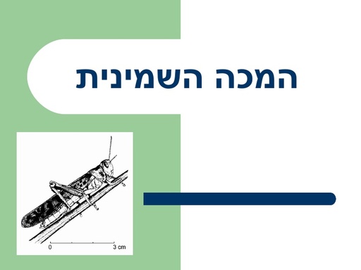 המכה השמינית- ארבה