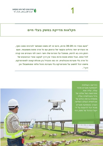 חקלאות מדייקת במשק בעלי חיים