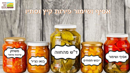 שימור צעירים