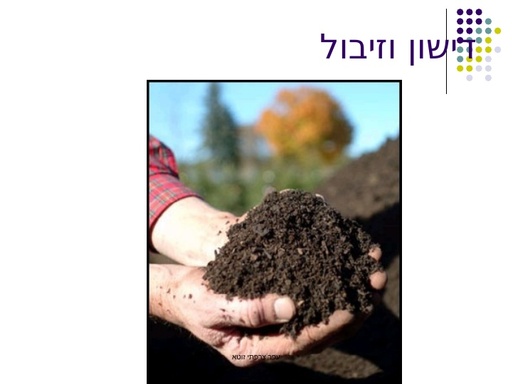 מצגת דישון כימי וזבול אורגני