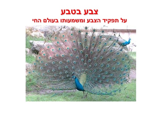 משמעות הצבע בטבע