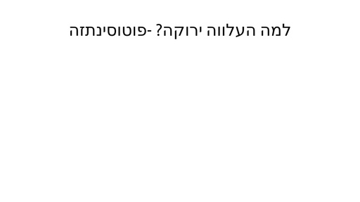 פוטוסינתזה, על קצה המזלג.